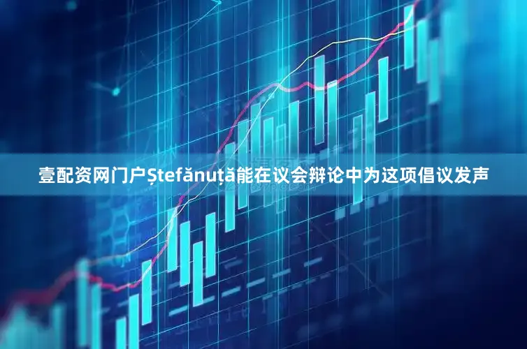 壹配资网门户Ștefănuță能在议会辩论中为这项倡议发声