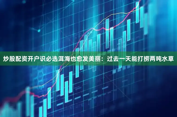 炒股配资开户识必选洱海也愈发美丽：过去一天能打捞两吨水草